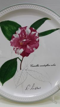 Nr Nr.190 lėkštė Villeroy&Boch