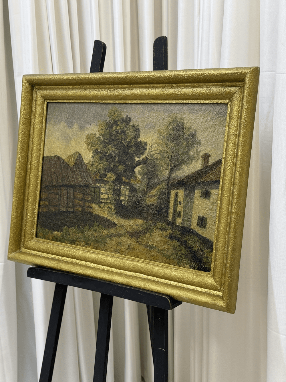 IMG_7348 2